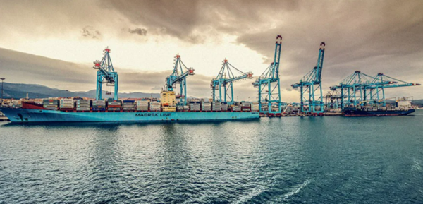 사진 출처:머스크 홈페이지 뉴스란