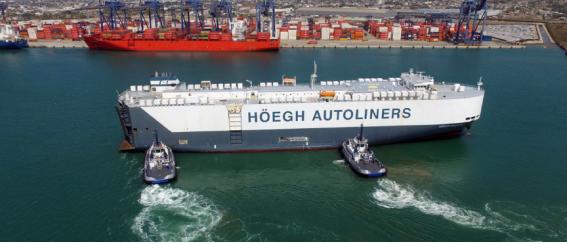 사진 출처:호그 오토라이너스 홈페이지