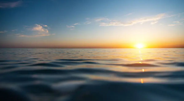 사진 출처:https://www.bimco.org